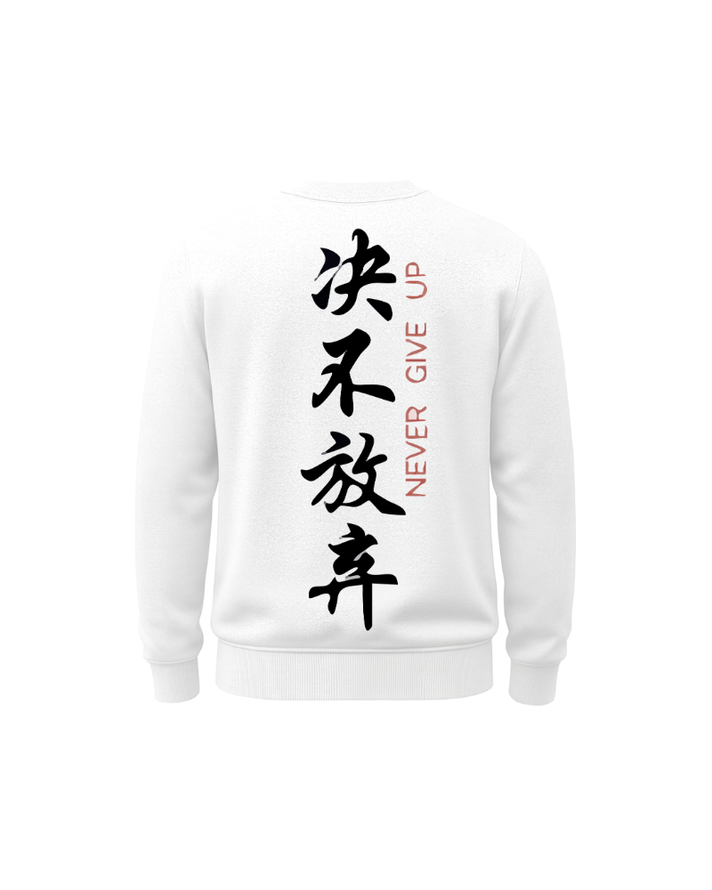 ÇİNCE YAZILI NEVER GİVE UP