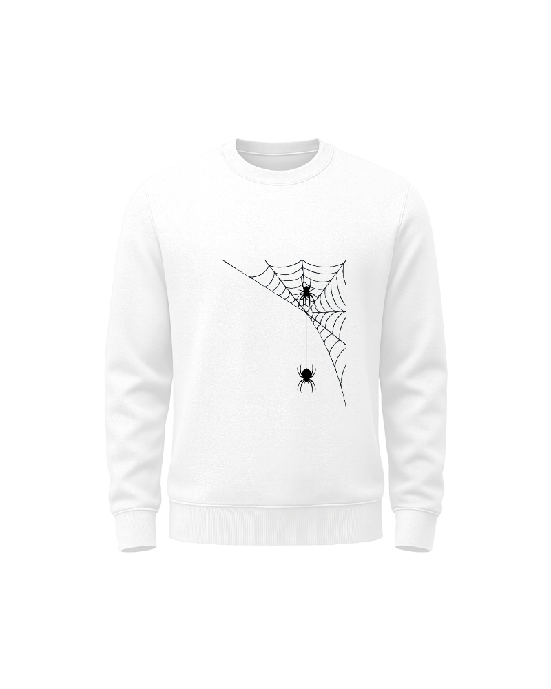 ÖRÜMCEK AĞININ GİZEMİ